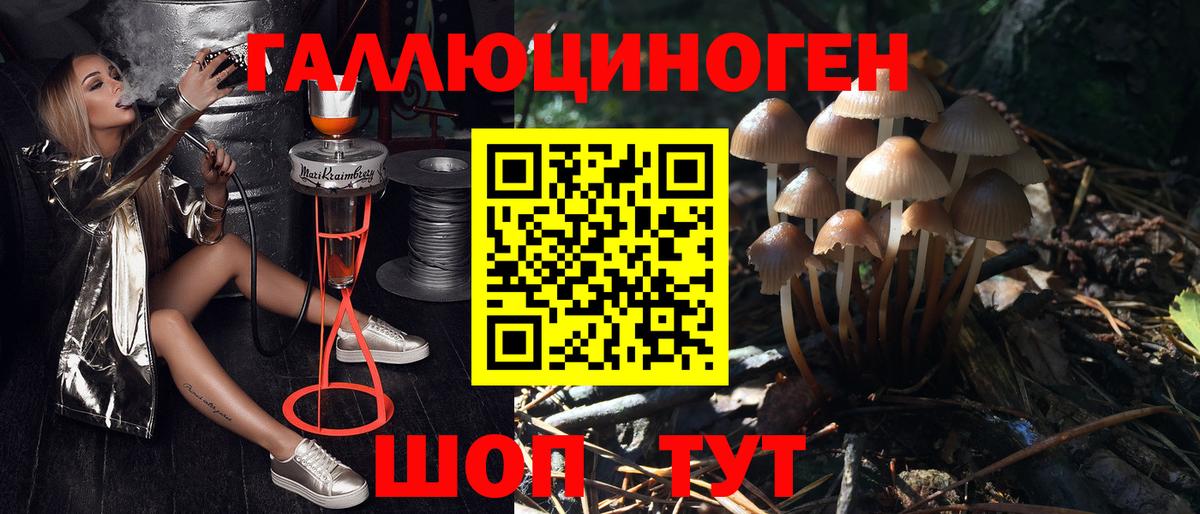 Псилоцибиновые грибы Cubensis  Вход с VPN  Галлюциногенные грибы мицелий  Севастополь 