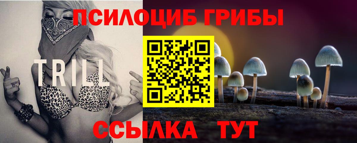 Галлюциногенные грибы Magic Shrooms Севастополь